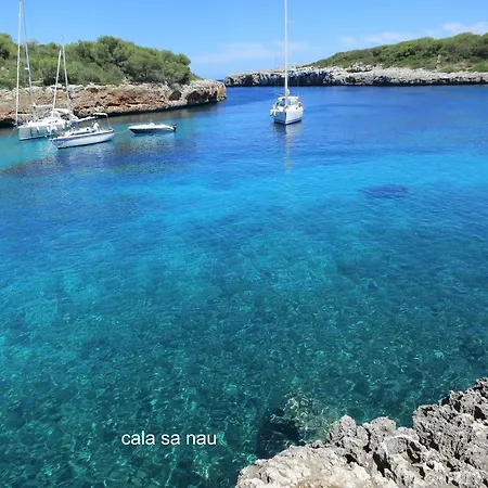 Marina D Or